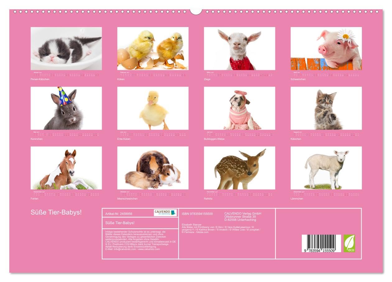 CALVENDO - Süße Tier-Babys! (hochwertiger Premium Wandkalender 2027 DIN A2 quer), Kunstdruck in Hochglanz: Kleine Herzensbrecher für die ganze Familie