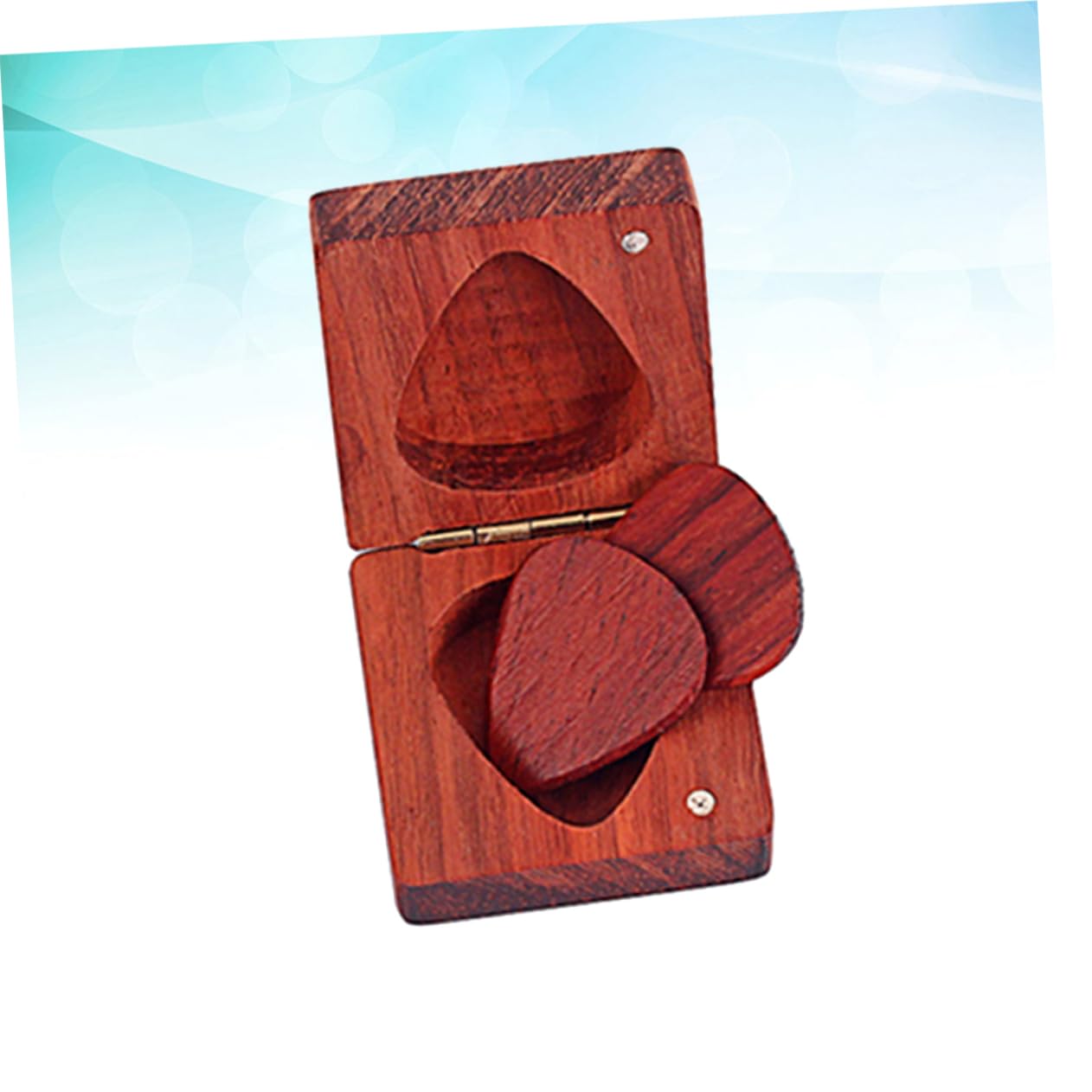 Abaodam Lot De 3 Médiators Étui De Rangement pour Médiators De Guitare Boîte avec Médiators 2 Pièces X 3