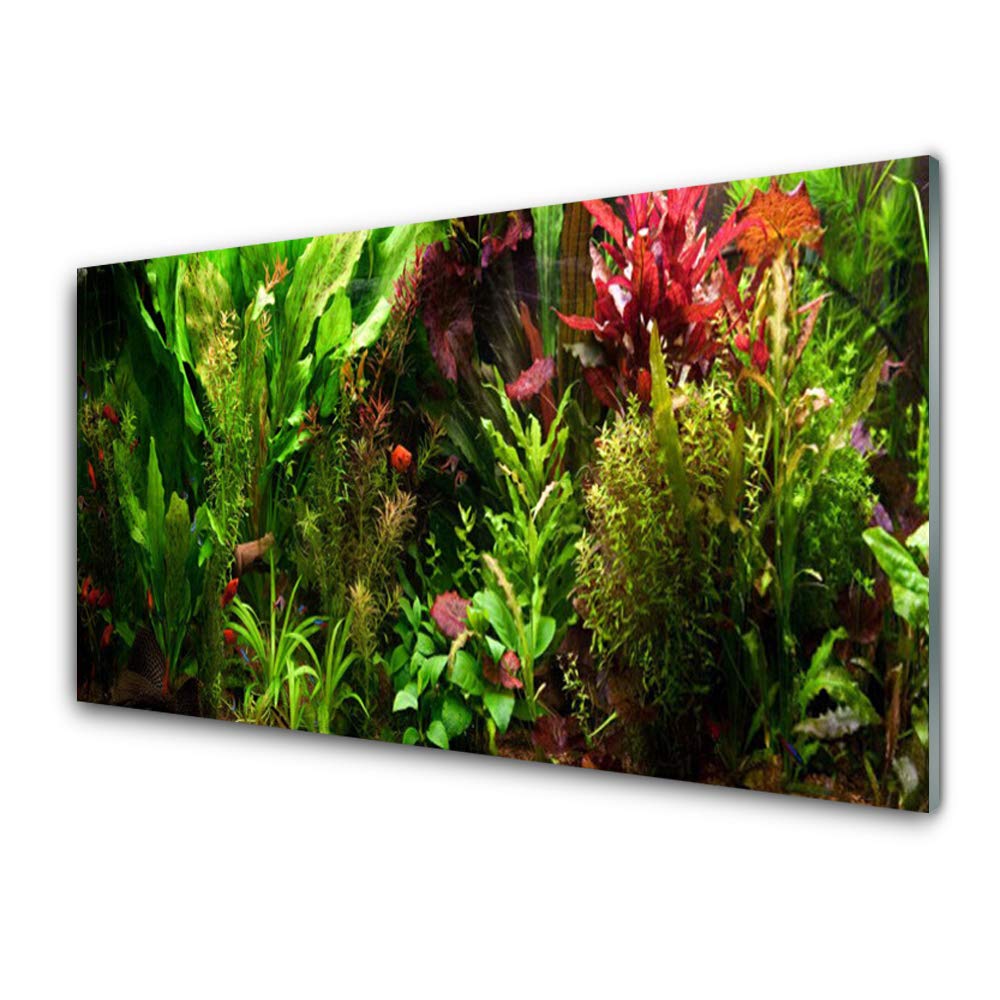 Tableau mural moderne décoration déco design en verre acrylique 100x50cm nature