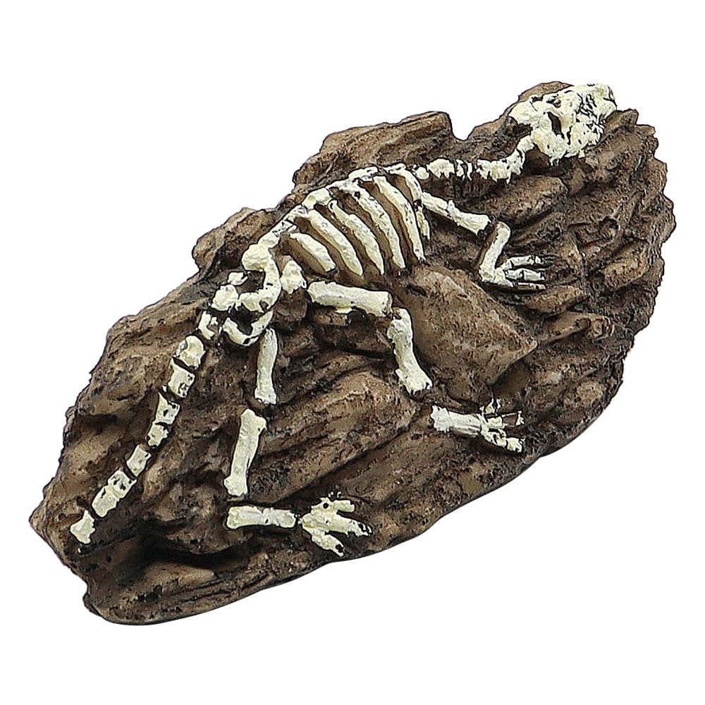 FONGKNOX Aquarium Dinosaur Fossil Decoration Dinosaur Ornaments Reptile Shelter Artificial Hideout Cave Landscape Fish Tank Decoration Landscape Hiding House