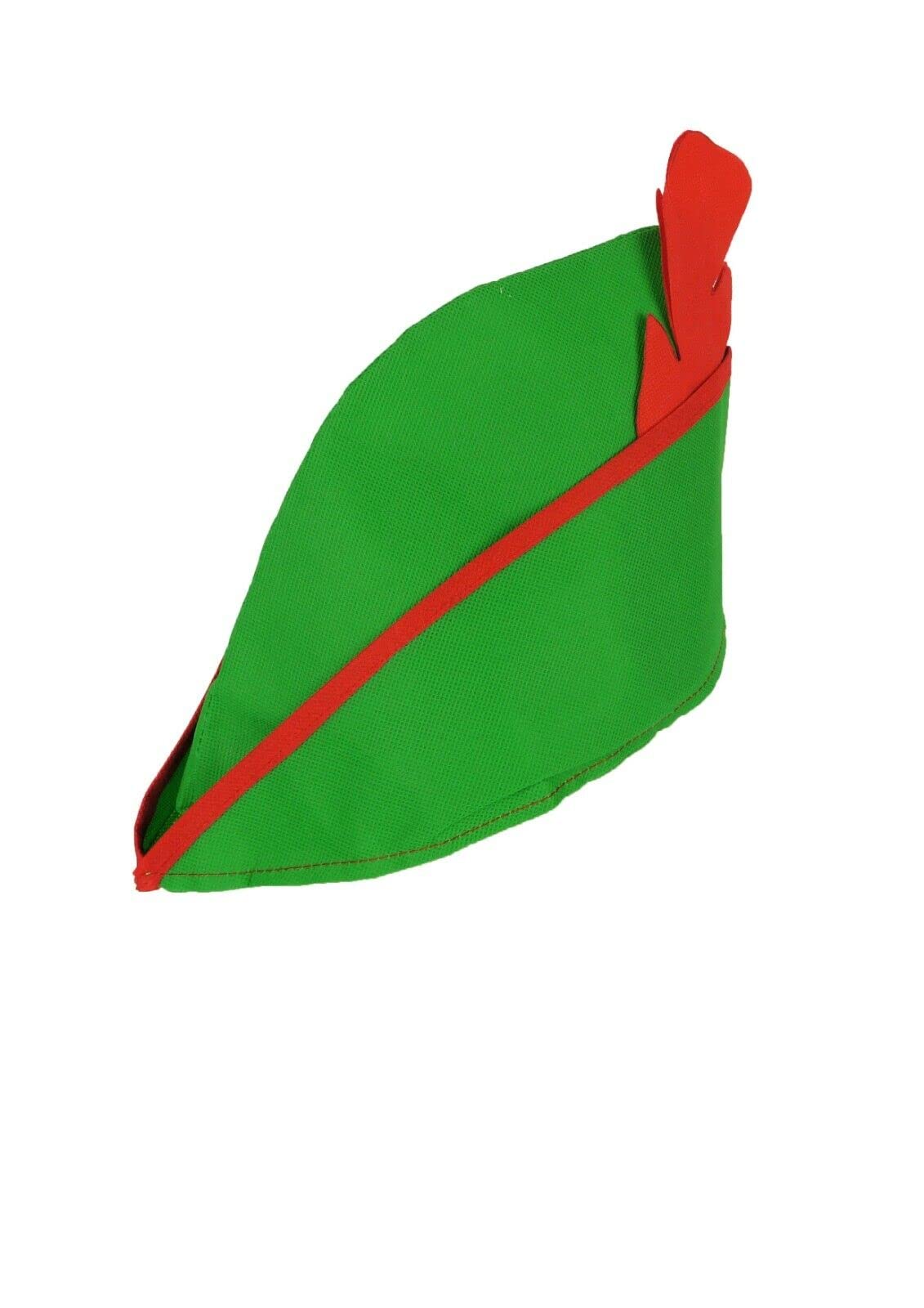 FAIRY BOUTIQUE Unisex Book Week Day Green Hat with Red Feather Adults Red & Green Fancy Costume Accessory Hat