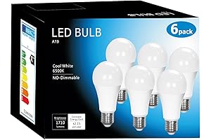 A19 6500K Cool White LED Light Bulbs