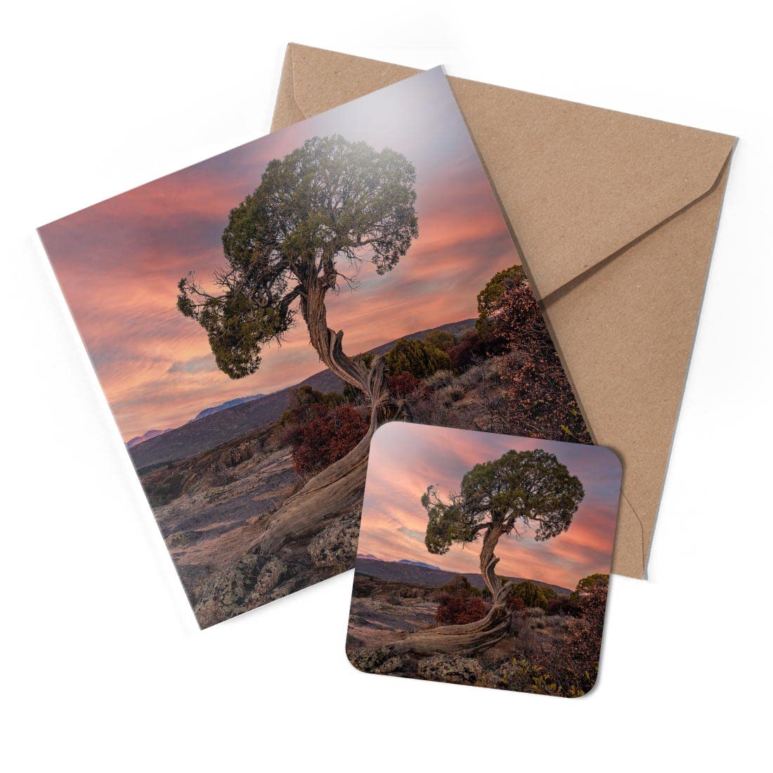 1 x Greeting Card & Coaster Set - Juniper Tree Black Canyon Colorado USA - Birthday Thank You Friend Lover Fan Mum Dad Kids #53000