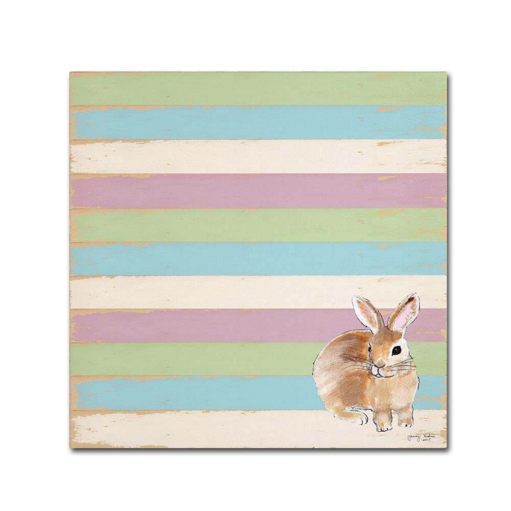 Rabbit by Tammy Kushnir, 18x18-Inch Canvas Wall Art