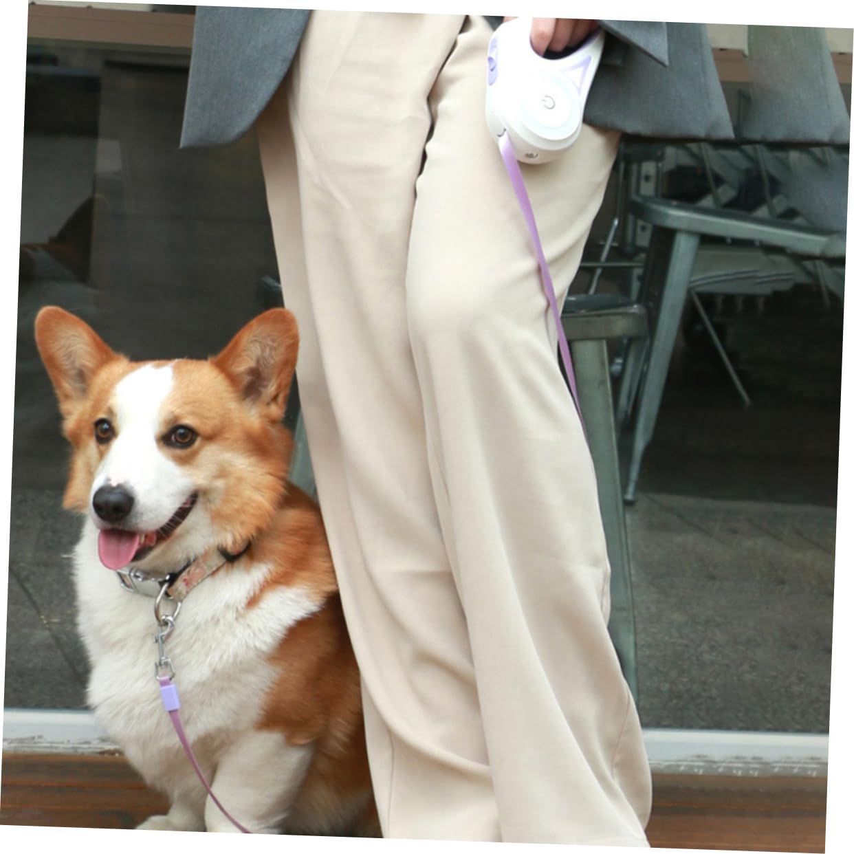 BESPORTBLE Guinzaglio Retrattile per Cani in Abs e Nailon Luce e Blocco Automatico per Passeggiate