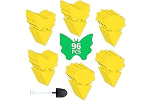 Fruit Fly Sticky Traps - Top Indoor Bug Traps