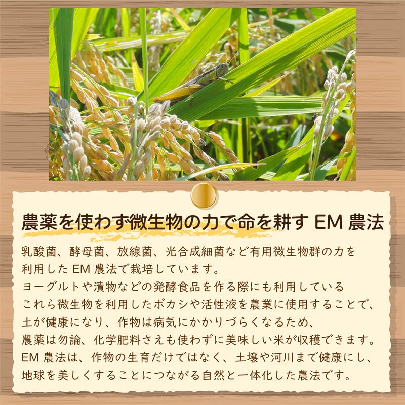 新米令和7年群馬県産あさひの夢色選別機精米 2026年1月より発送 【令和7年度産】あさひの夢 10kg(精米) ch049-008