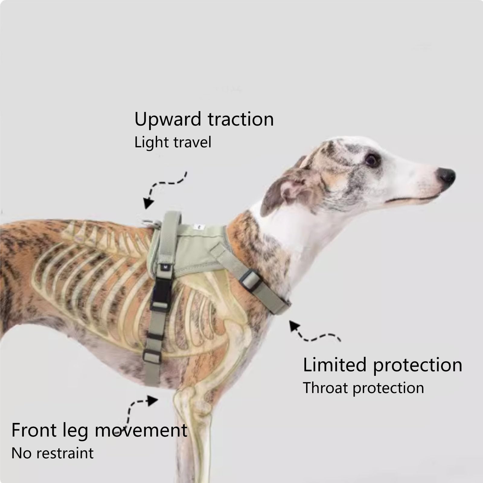 Pettorina Regolabile per Cani, Clip Anteriore Anti-Tiro, Pettorina per Cani con 2 Punti di Collegamento al Guinzaglio, Imbottita, Pettorina Riflettente Tutto in Uno per Cani,Verde,S