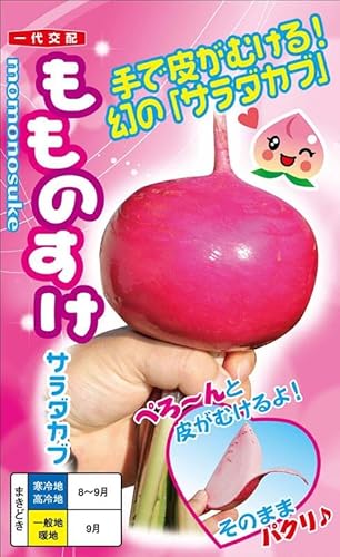 ナント種苗 サラダカブ種子 もものすけ 小袋 1mL 約200粒 幻のサラダカブ 小カブのサムネイル