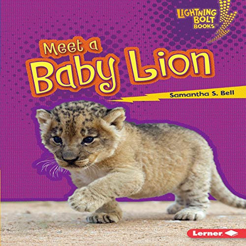 Meet a Baby Lion by Samantha S. Bell episode artwork