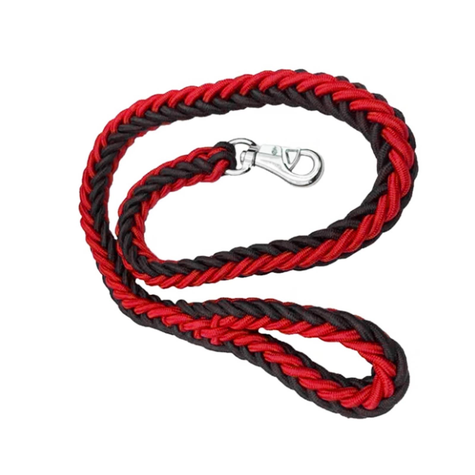 Dog Walking Rope, Nylon Dog Strap 4.2 Feet to Medium (M)