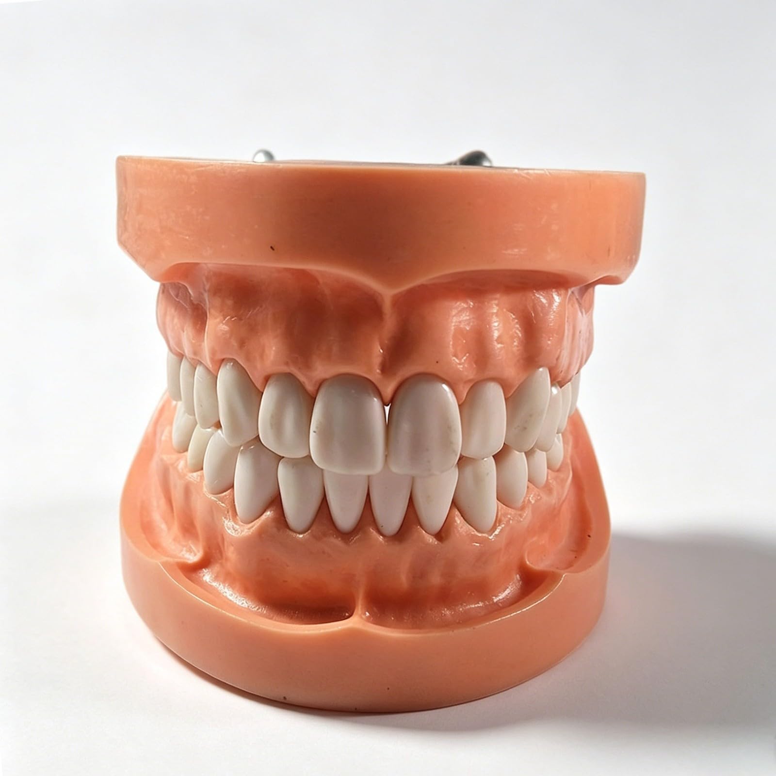Model zębów dentystycznych, 32-częściowy zdejmowany zestaw zębów do treningu, anatomicznie dokładne narzędzie edukacyjne dla studentów i profesjonalistów, demonstracja pacjenta