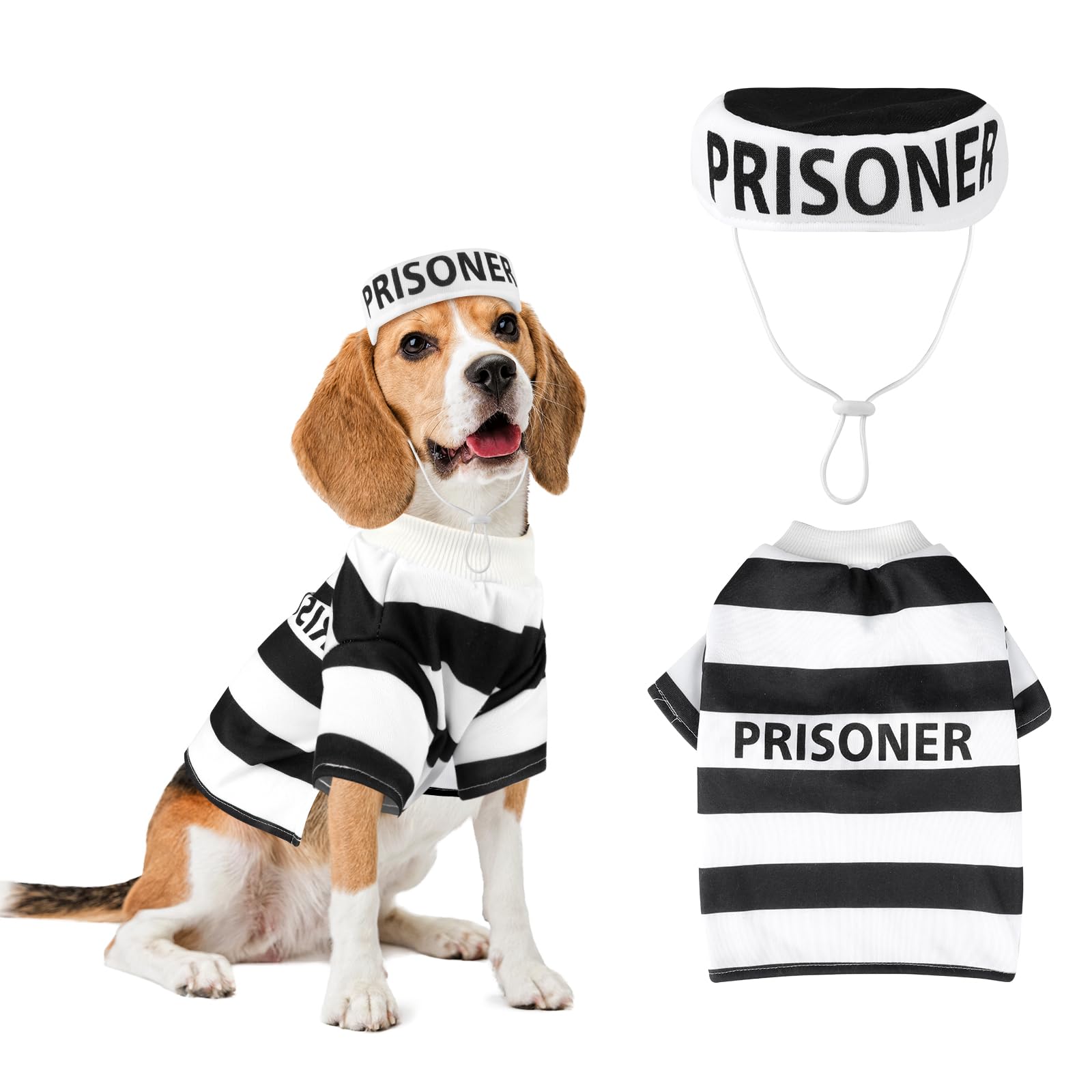 Best HD Pictures about  Prison Costume For Dogs  with No AI Images