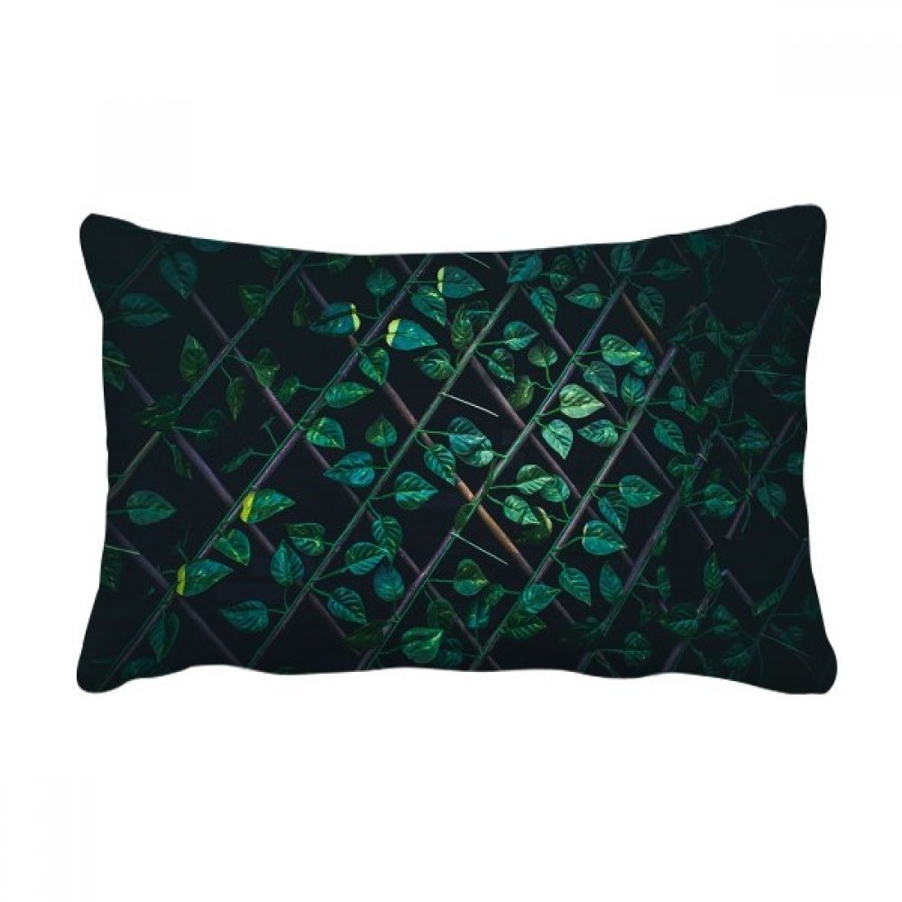 Throw coussin 16x24 rectangulaire multicolor décor de canapé motif plante verte