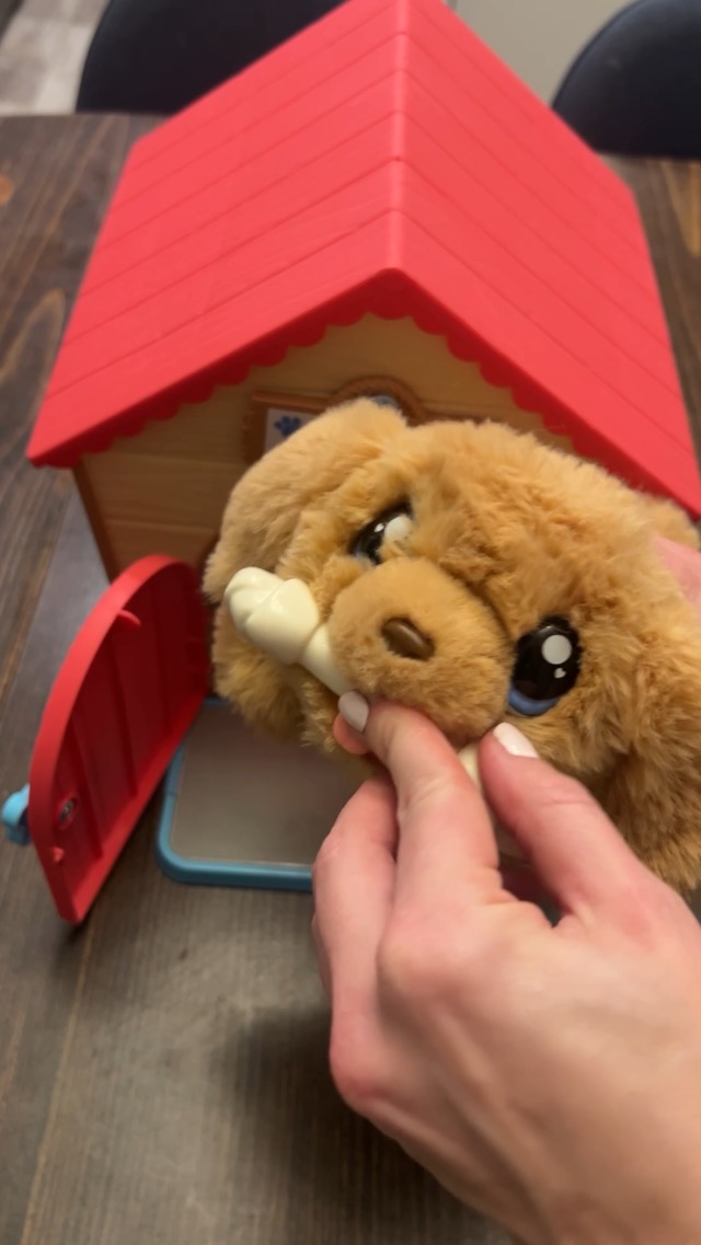Watch Review of Little Live Pets My Puppy Interactive Toy & Kennel