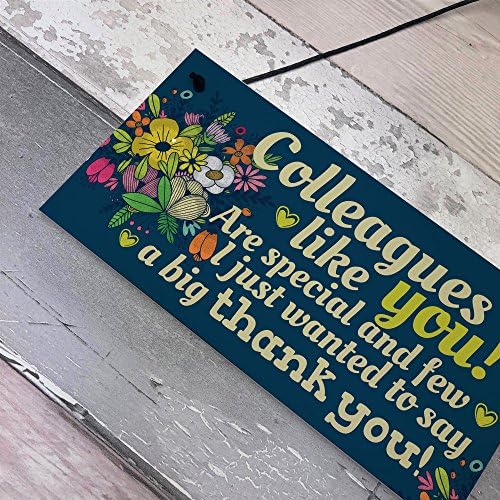RED OCEAN Colleague Gift Plaque Friendship Friend Hanging Sign Thank You Leaving Job Goodbye Work Gift