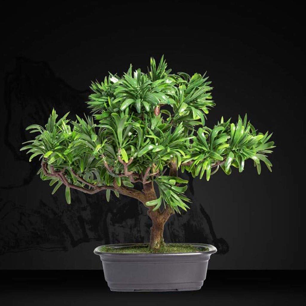 Amazon｜Zyj stores 人工マキの木盆栽ツリーの偽の鉢植え屋内エバー