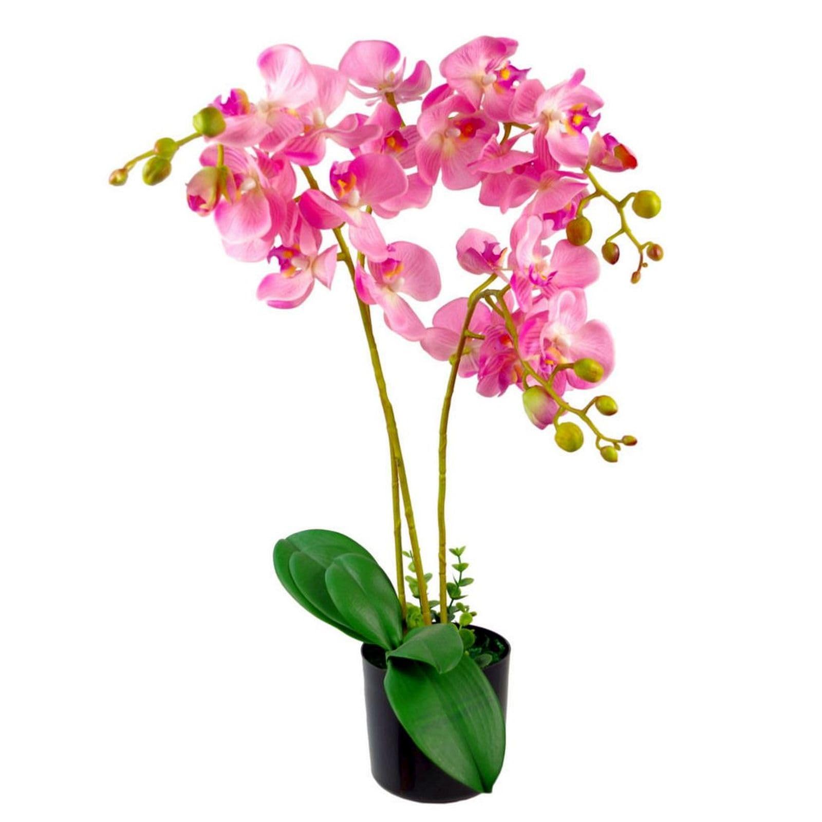 Leaf Design 60cm Realistic Artificial Orchid Flower Display in Pot - Green