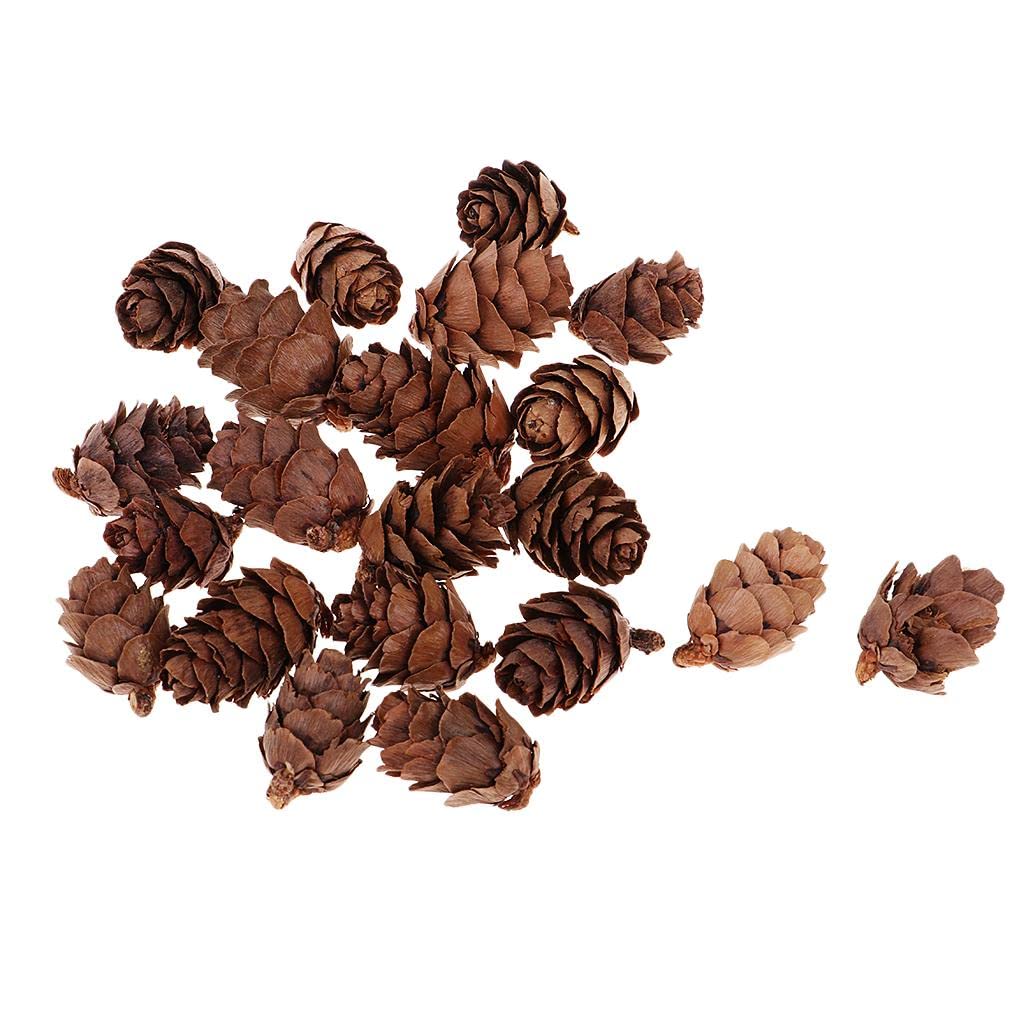 Meadawgs® 50 Pieces Mini Decorative Pinecone Pine Cones for Vase Bowl Filler Displays Crafts Home Christmas Table Decoration 20mm|50 Pieces Natural Pine Cones-image-49