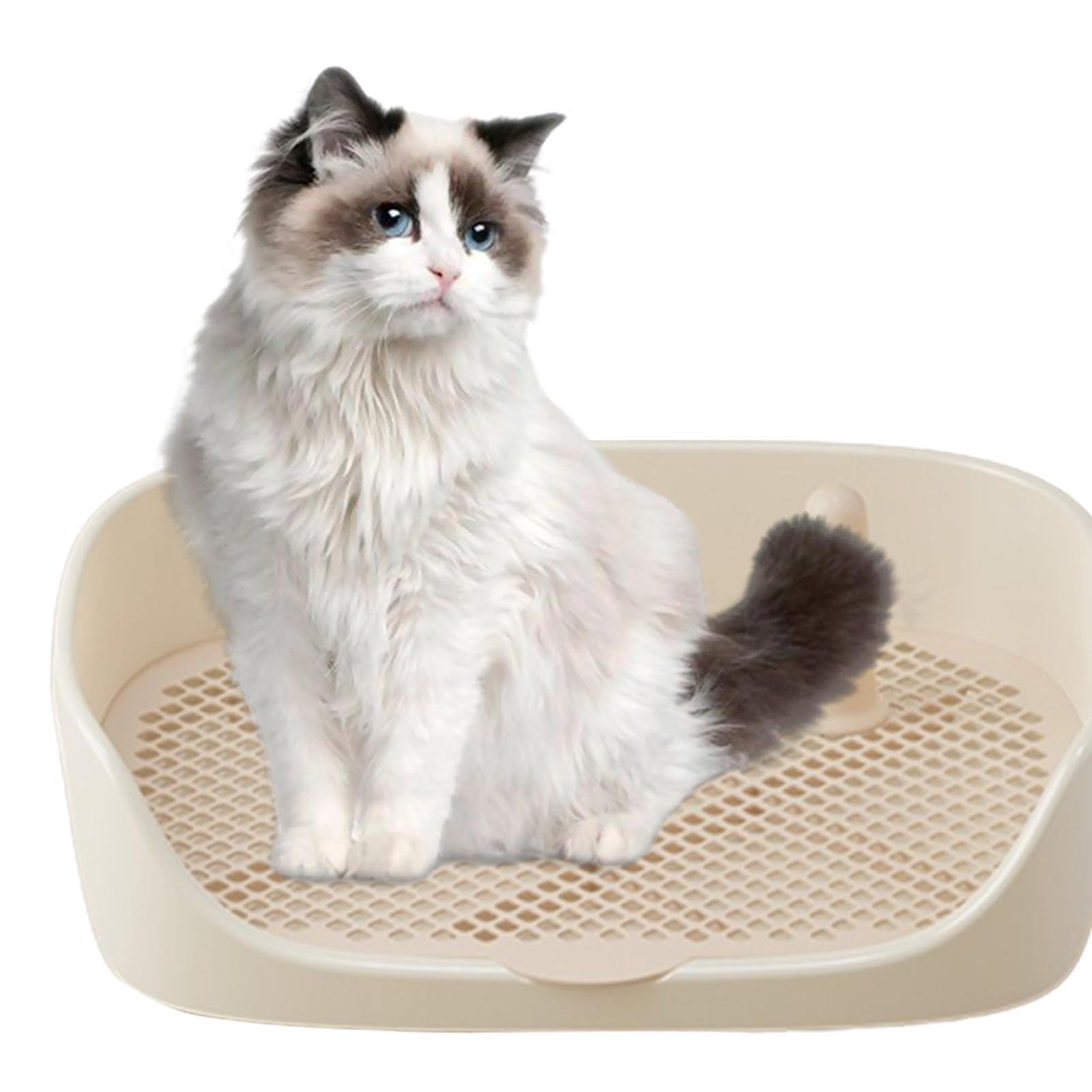 Recinto Per Pad Igienico Cani - Supporto Per Vasini Interni Con Pareti Alte