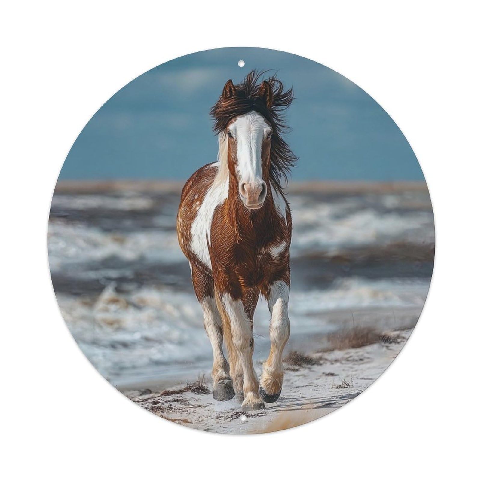 Cwbufd Vintage Style Animal Pinto Horse Running Seaside Beach Free Spirit Vintage Metal Tin Sign Plaque Wall Decor For Cafe, Club Bar, Office, Garden Metal Poster 8X8inch
