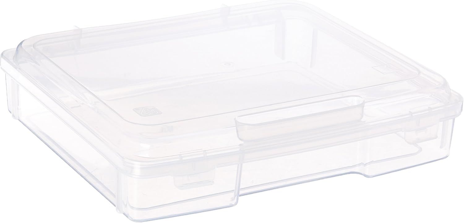 IRIS USA PJC-300 Portable Project Case, Thick, Clear : Home & Kitchen