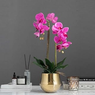 Artificial Flower with Pot Artificial Butterfly Set Potted Plants Silk Flower with Golden Vase for Office Home Decoration (Fuchsia)