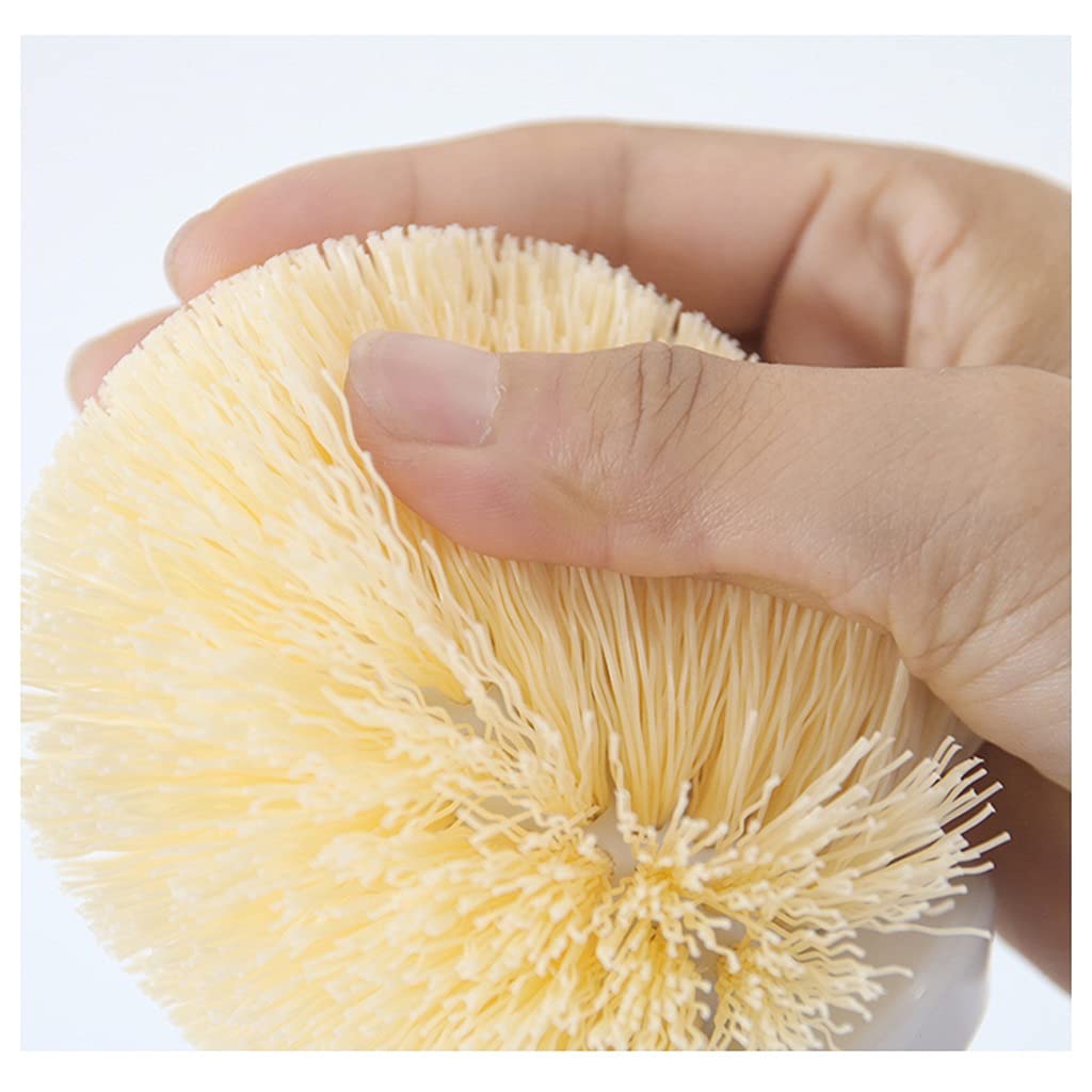 Spazzola Per Servizi Igienici Portabiancheria for la spazzola igienica Pennello da parete for uso domestico Brush Brush Brush Brush Brush Brush Spazzola for la pulizia della toilette a manico lungo 36