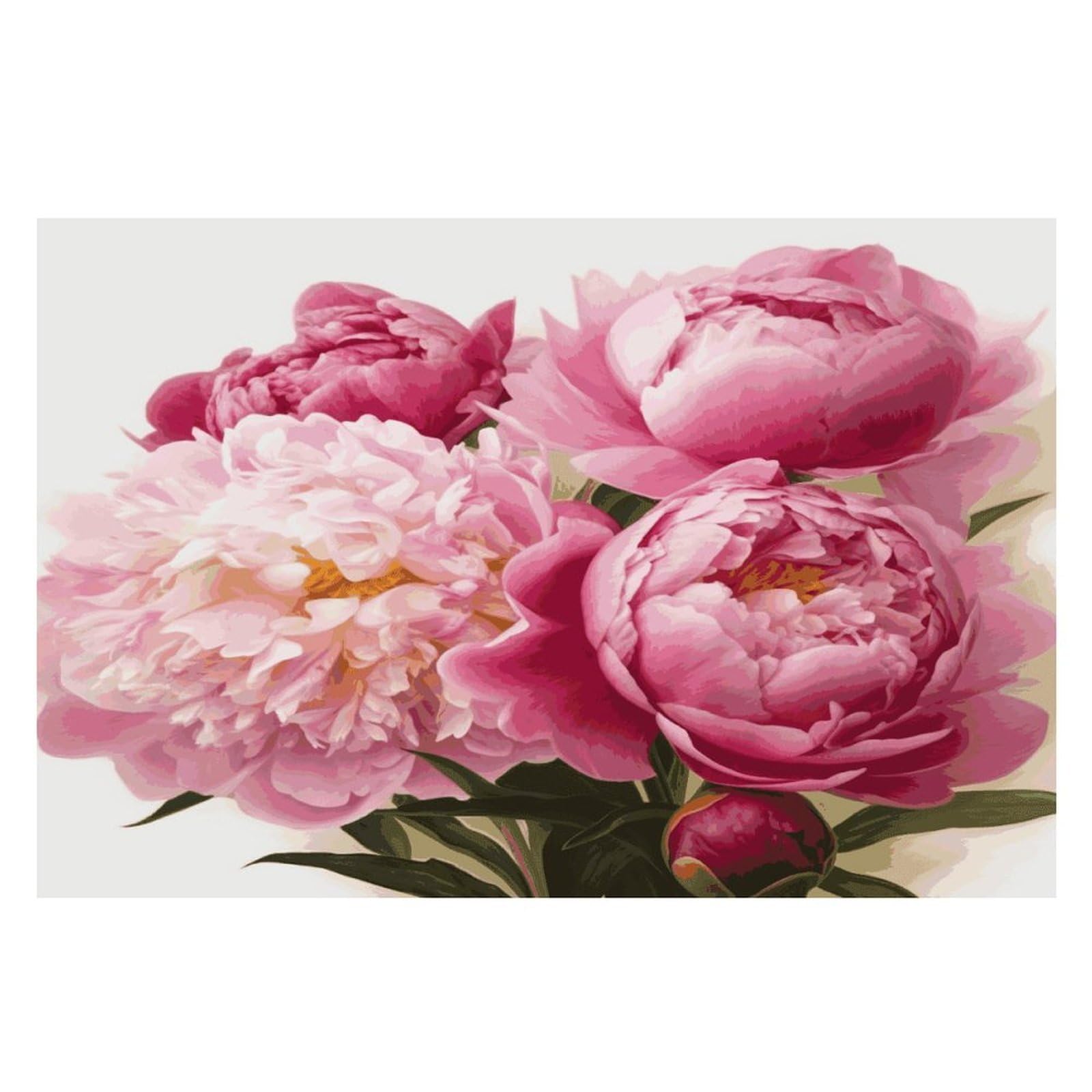 Peony Flowers Blossom Placemats Heat-Resistant Washable Place Mats Anti Slip Dining Table Place Mats Wipeable Dining Table Mats Kitchen Decoration Placemats 17.7’’×11.8’’