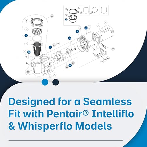 Miniatura 3 de Kit de reparación de juntas tóricas para Pentair® Intelliflo Whisperflo Pump Rebuild Kit 32 - Piezas de reparación de bombas Pentair® para todos los