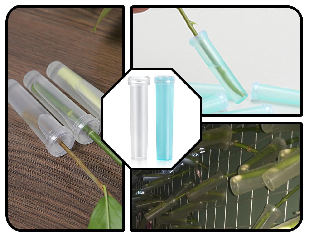 33 Provette Per Fiori In Plastica Con Tappo: Tubi Porta Acqua Per Composizioni - 4