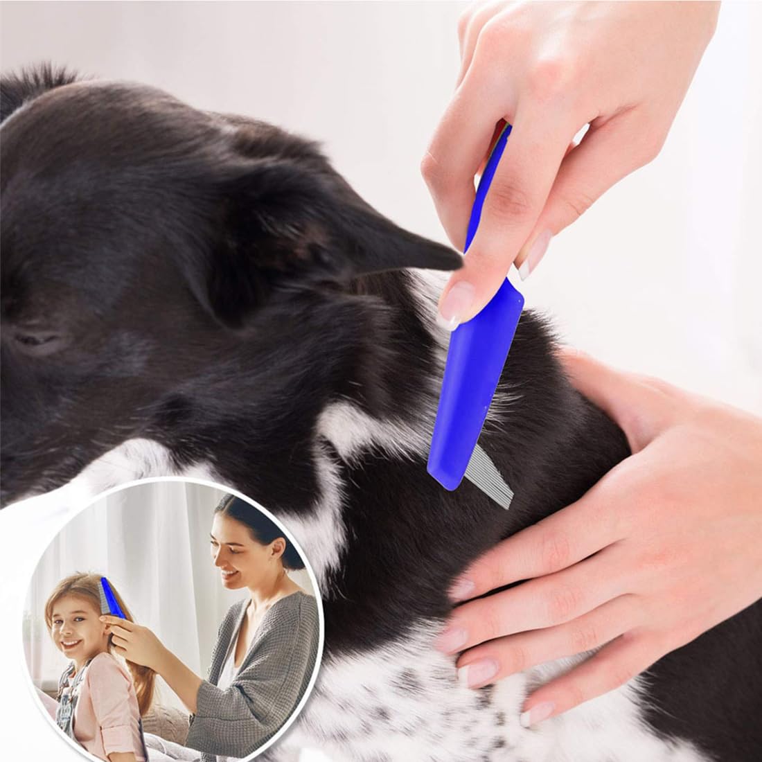 5 Pièces peignes anti-puces en acier inoxydable avec dents arrondies pour chats et chats, Peigne anti puces pour chat, peigne à poils épais, peigne à dents fines pour chien et chat