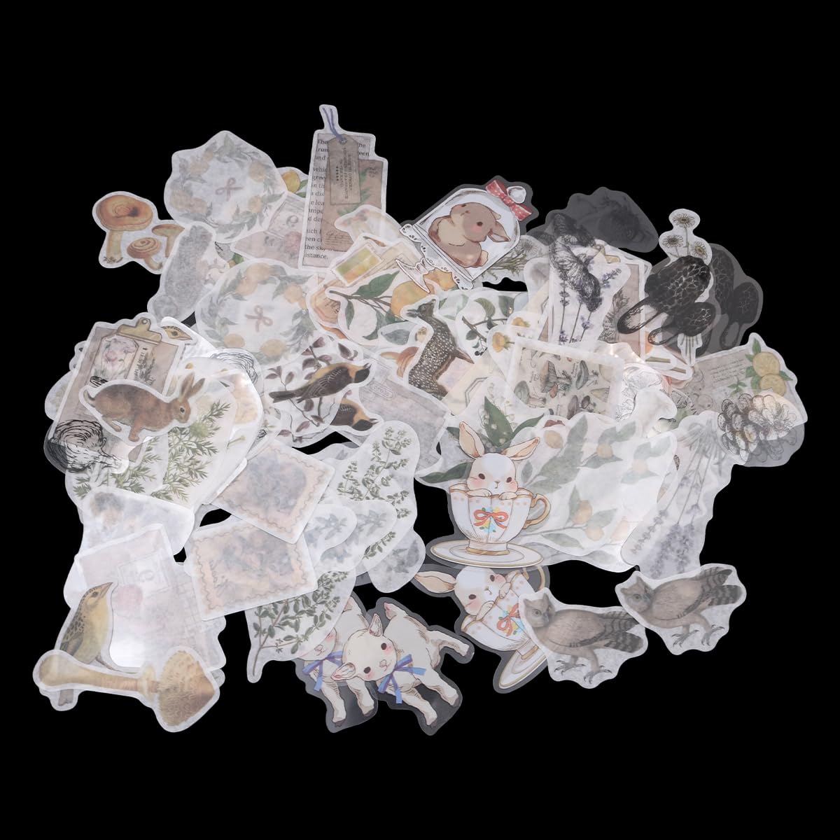 543187_5