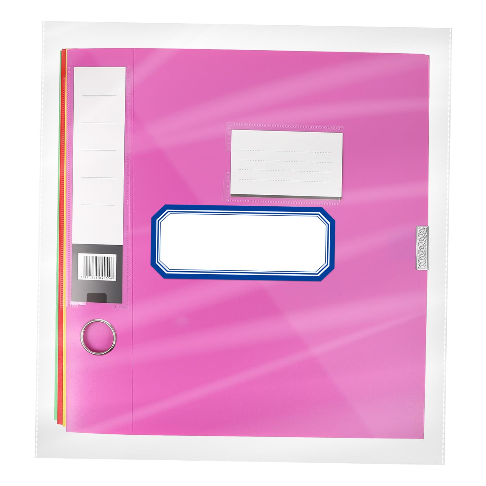 NUOBESTY Cajas de Archivos Escolares Plegables de Plástico Pp, 5 Piezas