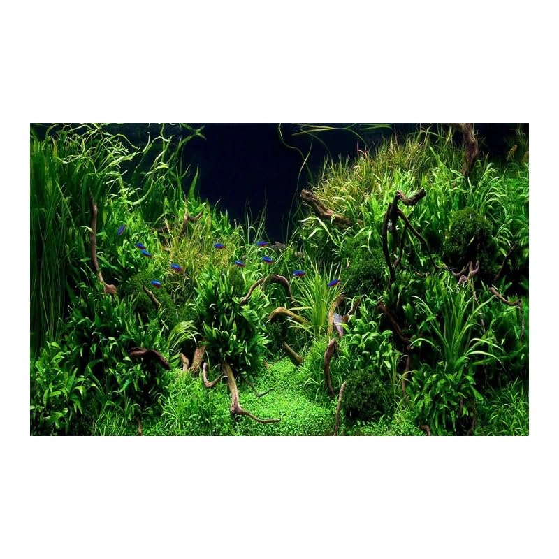 Sfondo Acquario Adesivo forestale Sfondo Acquario Ornamento Poster Foresta Paesaggio Carta autoadesiva for per la Decorazione(White,54x122cm)
