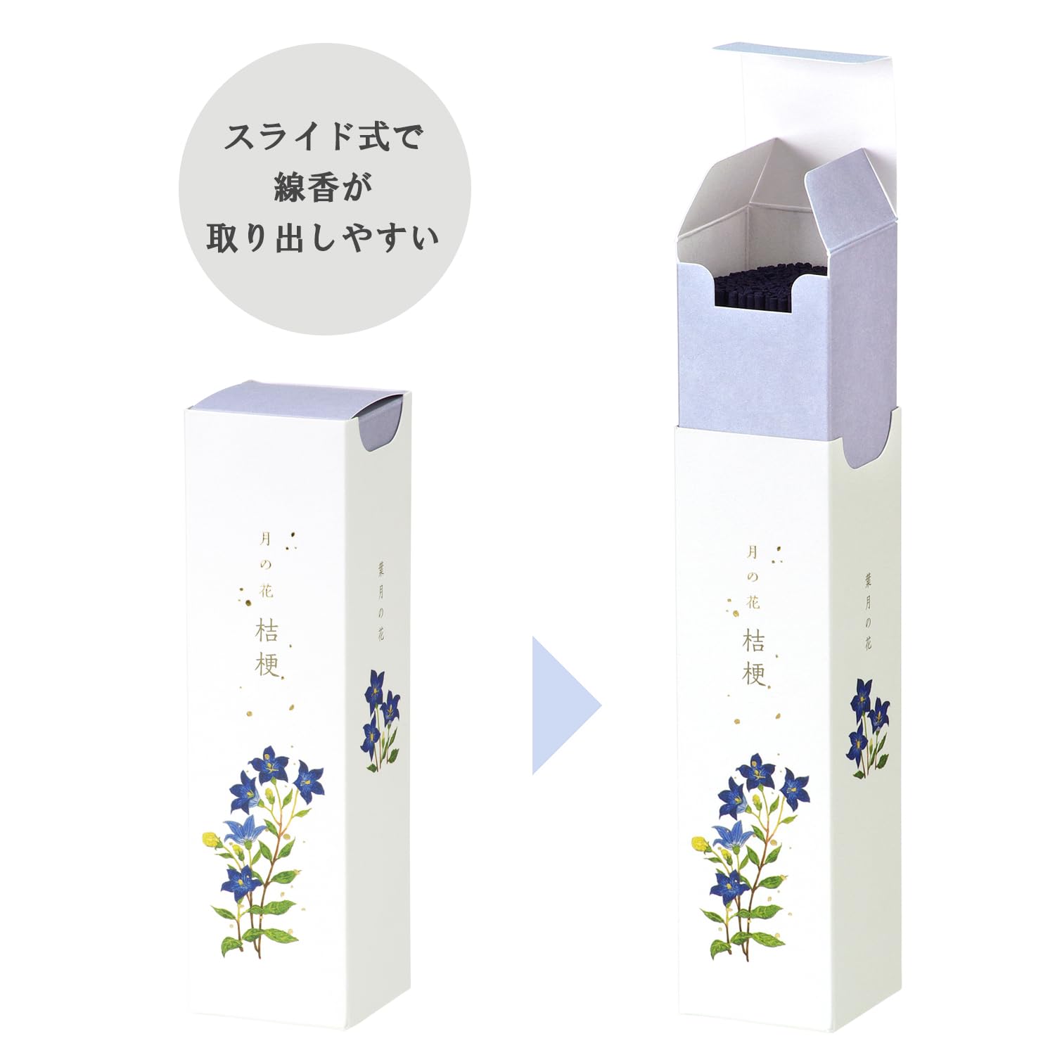 桔梗 キキョウ 野生種 桔梗 茶花 花苗 秋の七草 : やまおか碧山苑