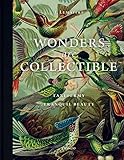 Wonders are Collectible: The Beauty of Beetles, Bugs and Butterflies: Taxidermy: Tranquil beauty