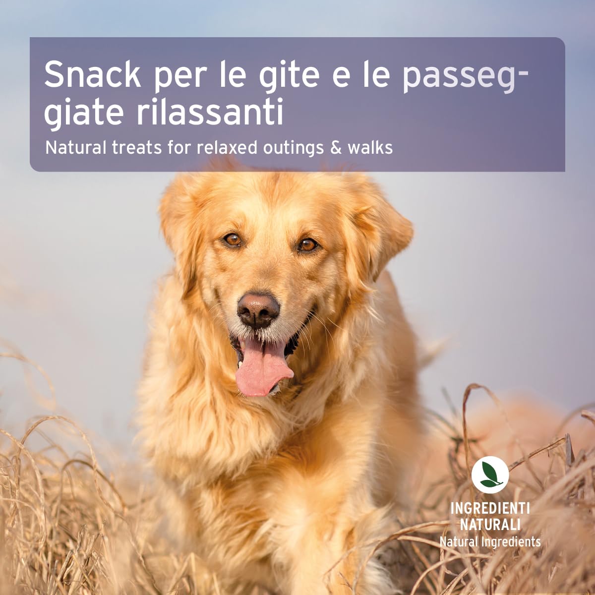 AniForte Relax Snack per cani 300g - Crocchette naturale rilassante e calmante, ant istress, con valeriana, melissa, rosmarino, per sostenere situazioni di stress, ansia, nervosismo