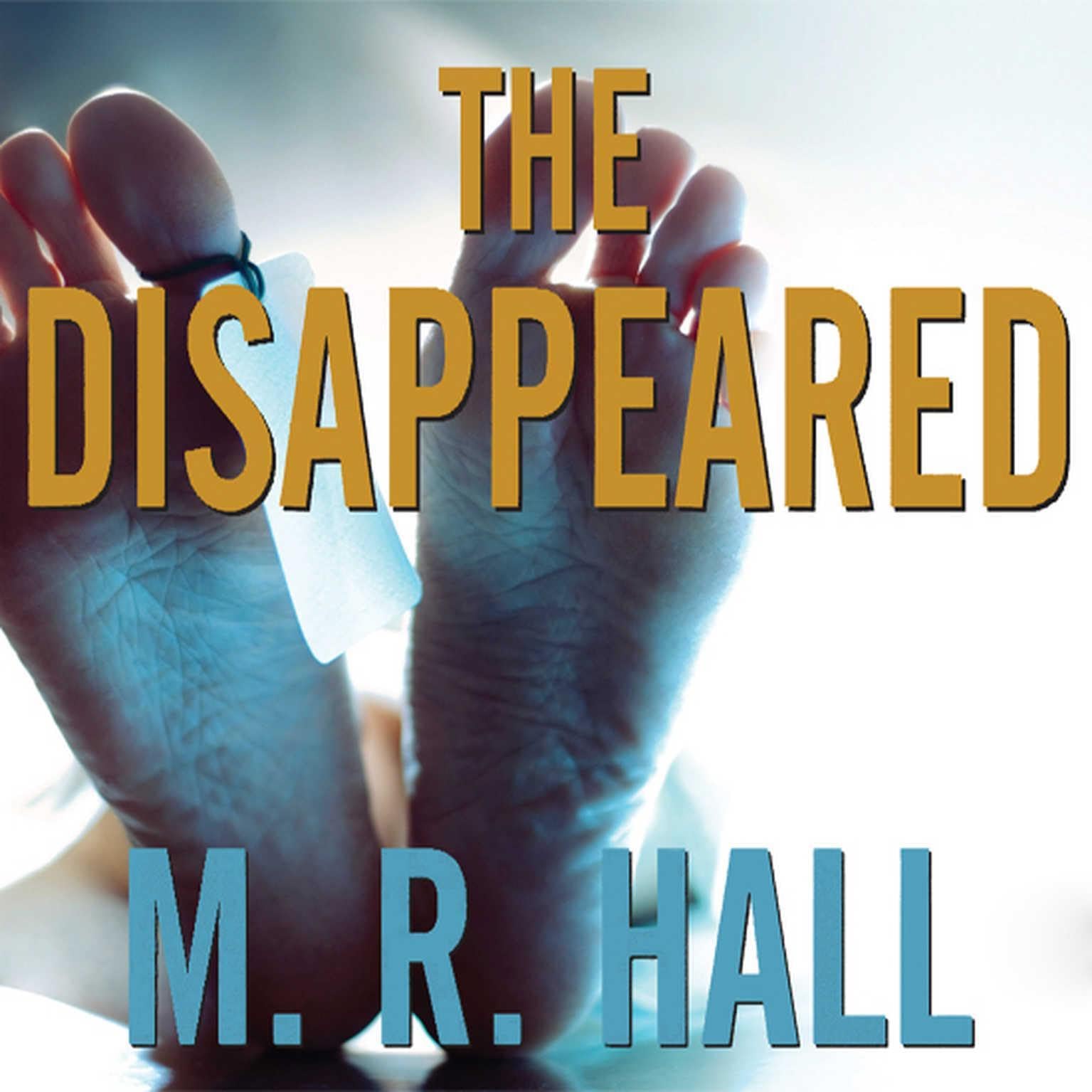 Cover art for The Disappeared