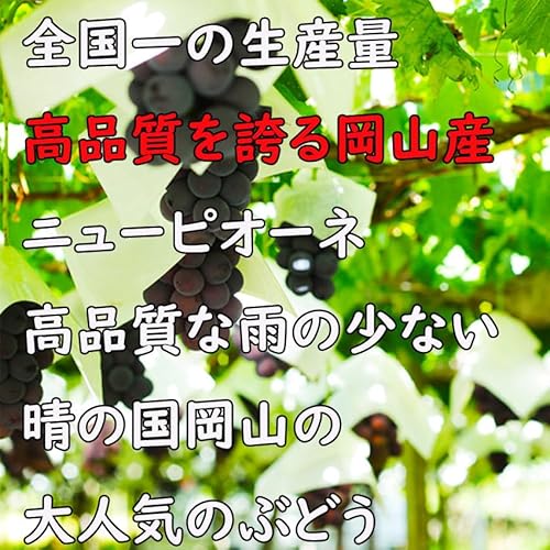 ノーブランド品 シャインマスカット 岡山県産 晴王 ピオーネ 詰め合わせ 400g 2房 贈答用 種なしぶどう の商品画像 2