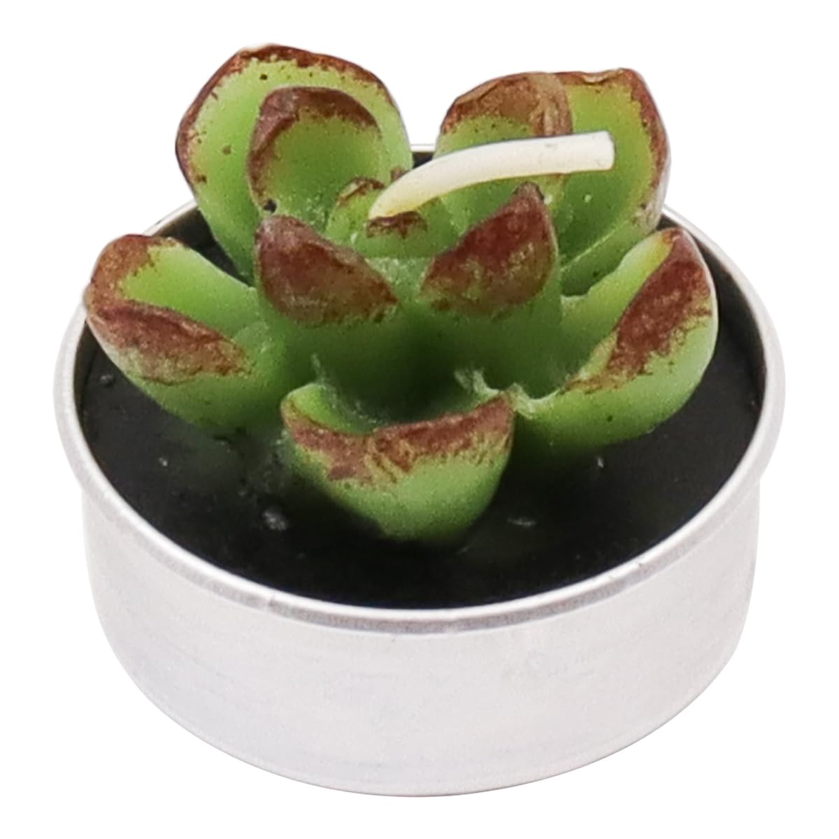 6 Velas de Cactus y Suculentas, Recuerdos de Fiesta para Invitados y Despedida de Soltera, Regalo de Inauguración