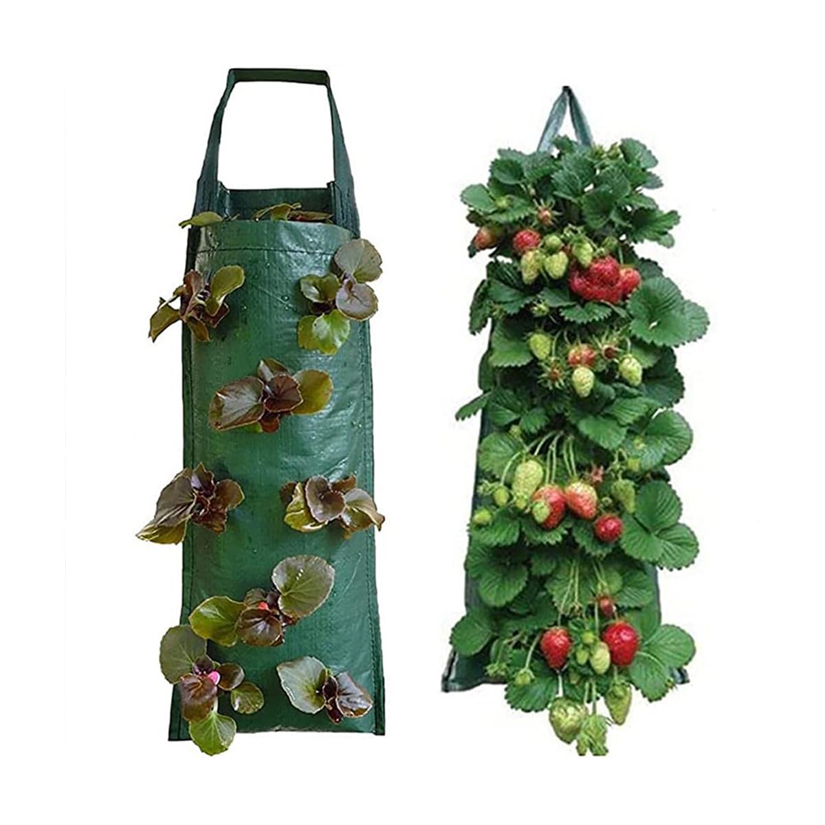 Mnrkaoic Hanging Strawberry Planter Strawberry Pot Bags Plant Grow Bags Garden Container for Growing Fruit Pots Accessory Vegetables Backyard Patio (Green)