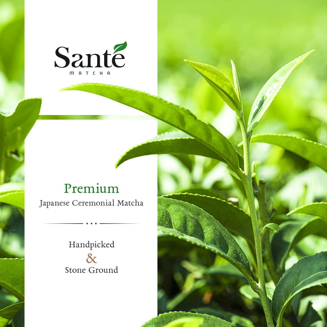 Sant Matcha Agave Ceremonial Grade Japanese Matcha with Organic Agave First Harvest from Aichi Prefecture 1LB for Lattes — view 6