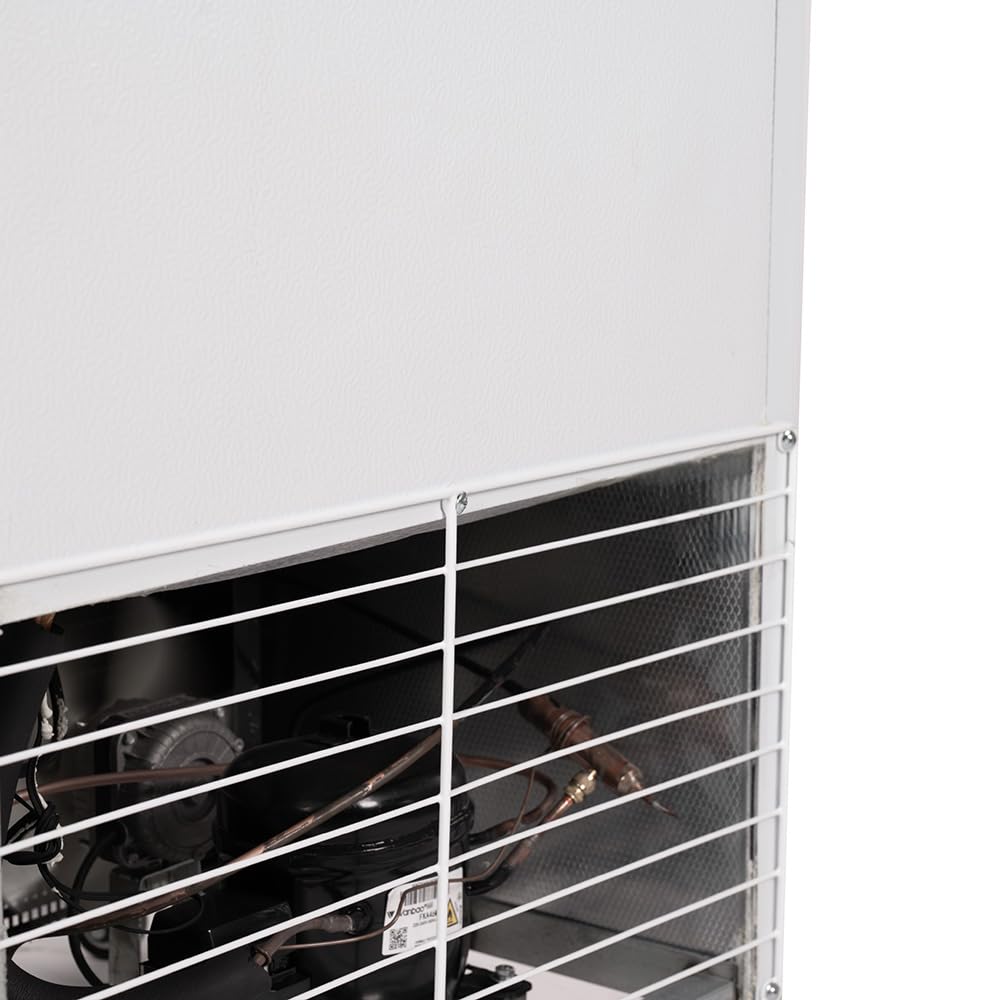 Cleiton® Armario Expositor Refrigerador 1 Puerta de Cristal 300 Litros Doble Cristal Templado Refrigeracion Ventilada Antivaho 600x550x1950 mm | Vitrina Expositora Refrigerada | Nevera Frio Bebidas