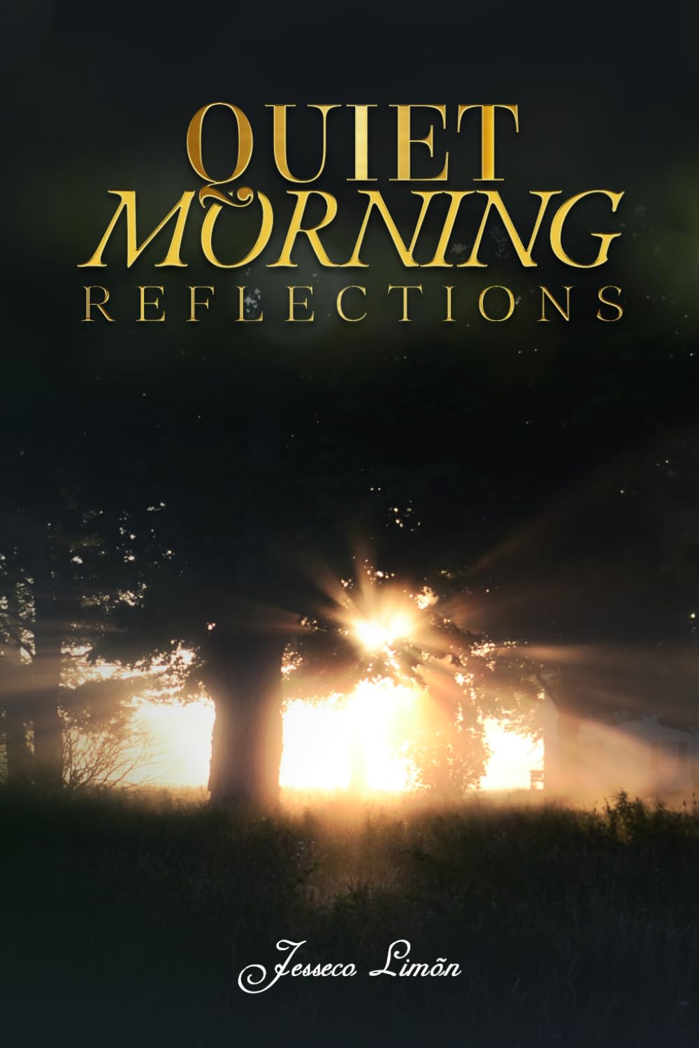 Quiet Morning Reflections
