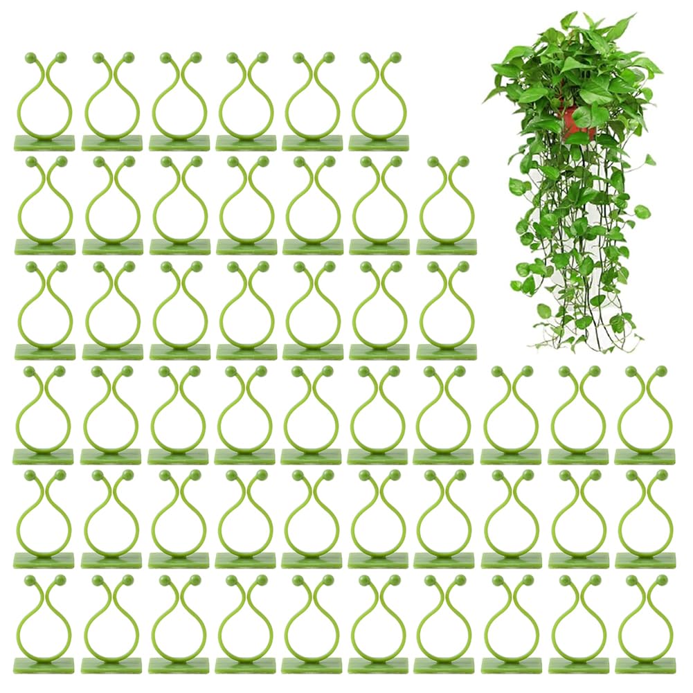 Plant Support Clips, Plant Clips for Climbing Plants, Plant Climbing Fixture Clips, Self Adhesive Wall Vines Climbing Plant Support Clips Garden Plant Wall Fixture Clips for Climbing Plants, 50pc