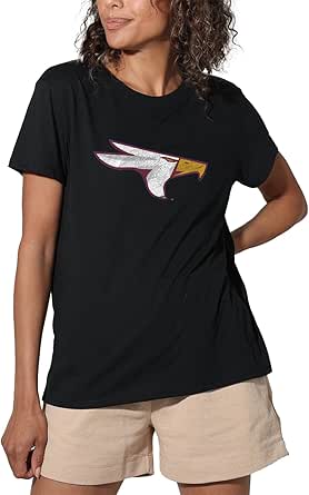 Official Collegiate Distressed Logo Pullover Hoodie - Unisex Adult Sweatshirt (Various Schools)