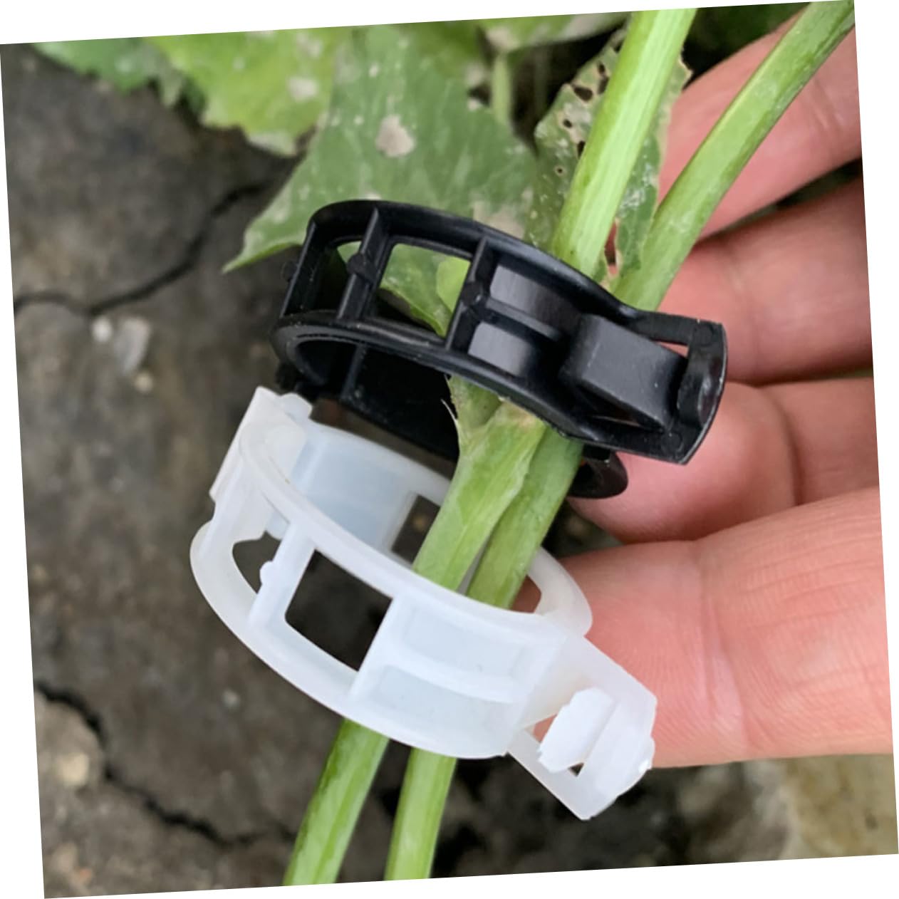 Mikikit 500stücke Pflanzenclips Für Tomaten Und Kletterpflanzen Wiederverwendbare Gartenclips Stabile Pflanzensicherung Für Blumen Und Gemüse