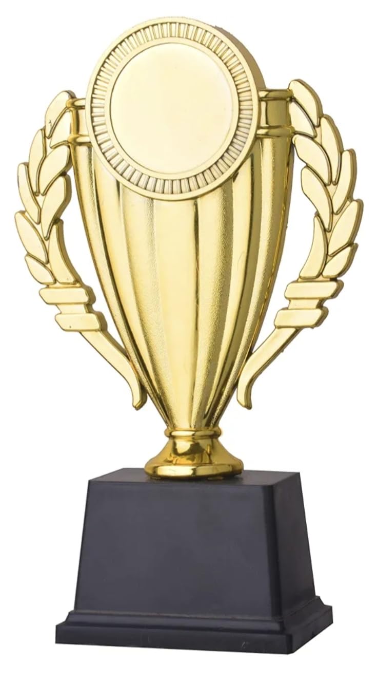 Top 23Cm Award and Trophies for Every one for There Best Performance in School College Institute Events by TMW-picture-14
