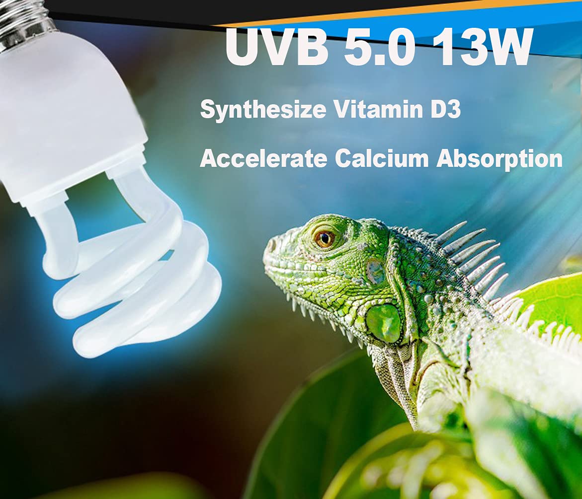 iguana light 5.0 uvb